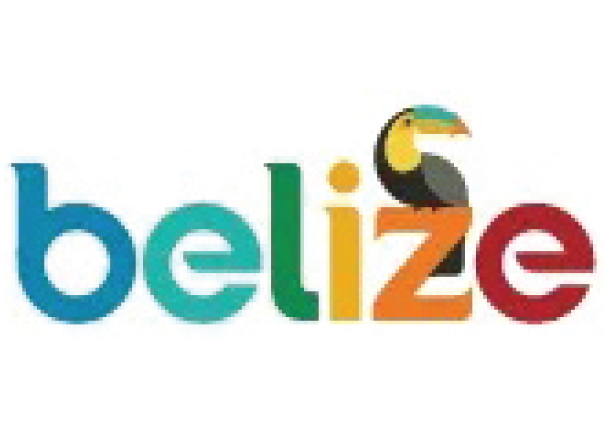 Platinum Sponsors Logo